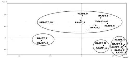 Plane of factors 2 and 3 showing the original categories (RAJOY_number) and the new recoded categories (RAJOY - category)