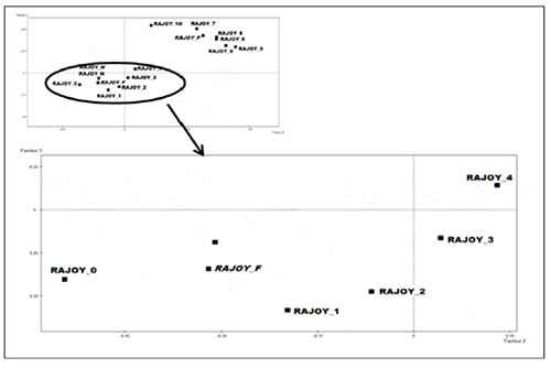 Plane of factors 2 and 3 showing an example of erroneous recoding
