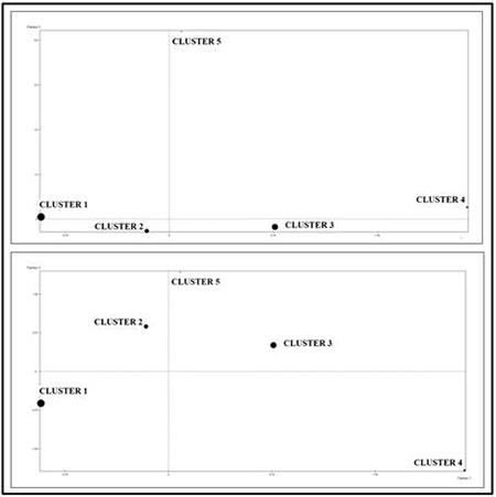 medium/medium-RIS-82-02-e251-gf8.png