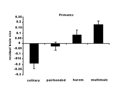 Relative brain size according to the social system in primates (Dunbar 2007, p. 2432).