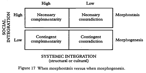 Morfostasis y morfogenésis.